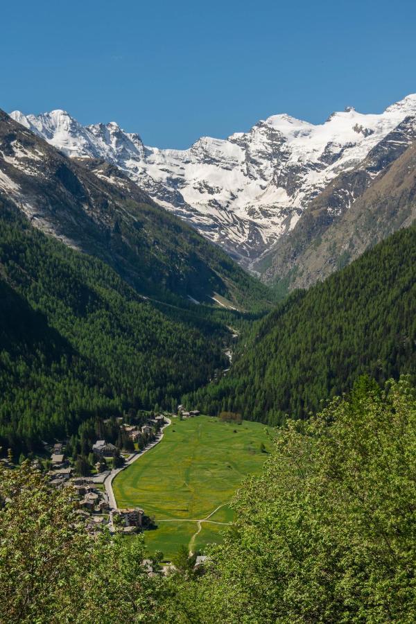 Nido Delle Aquile Appartement Cogne Buitenkant foto