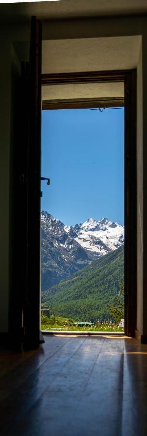 Nido Delle Aquile Appartement Cogne Buitenkant foto